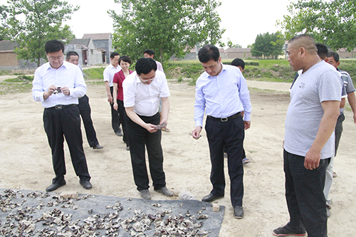 钱柜qg777(中国游)唯一官方网站